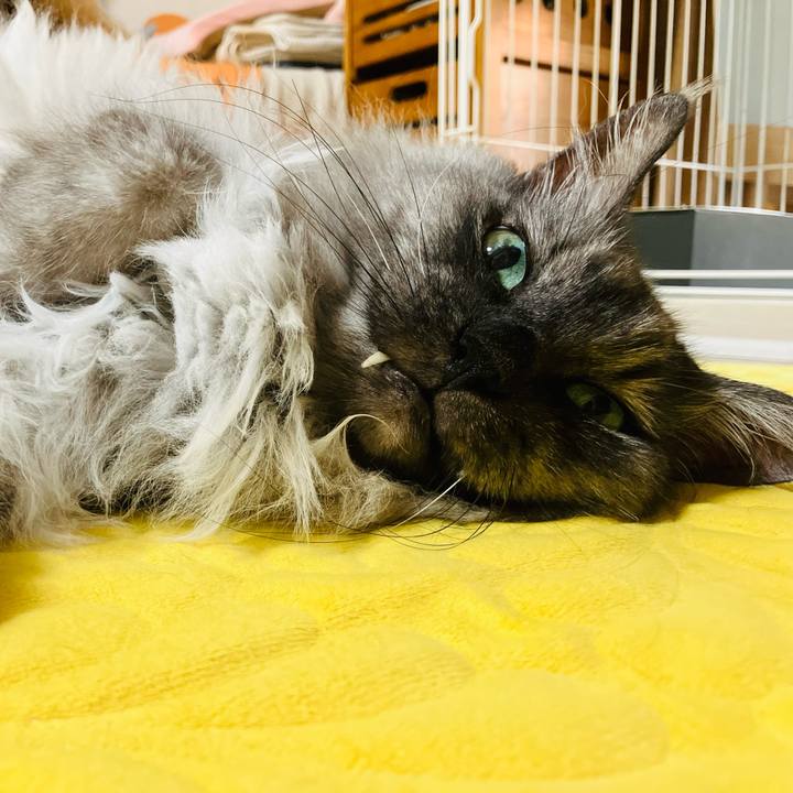 7083f195 9032 4216 b6f5 7d590e3d063e 1758758981957