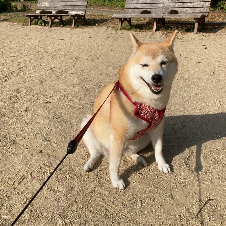 70841237 84e6 4aa5 a183 3c566ac5a201 1633522522133