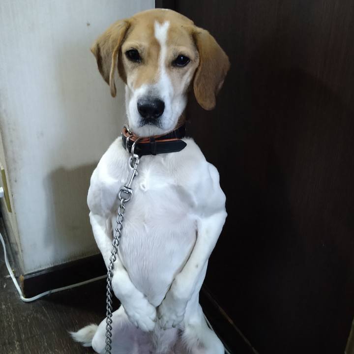 70843ebb d7bc 4ed8 8244 d771500ea7c7 1651142290863