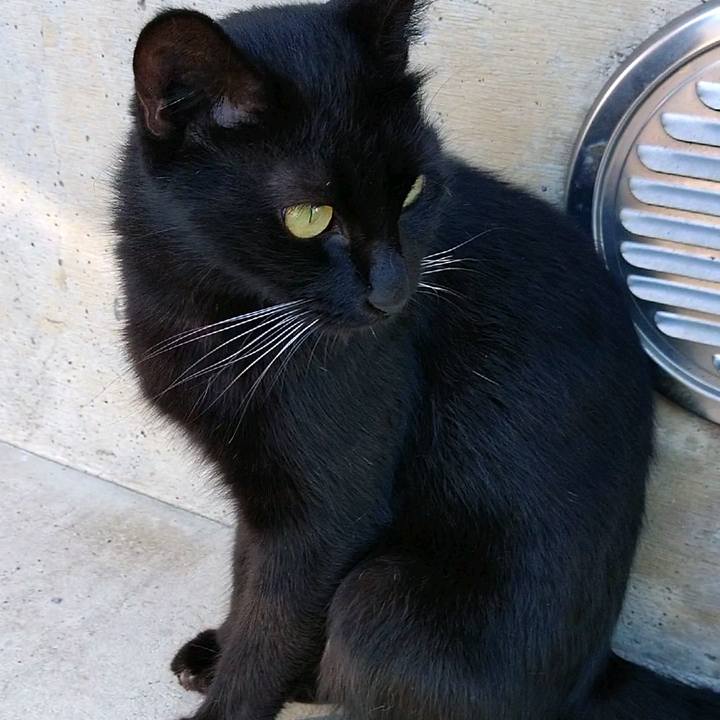 7084492d 1e44 4532 9d99 f2bf67fa3c42 1599284990431