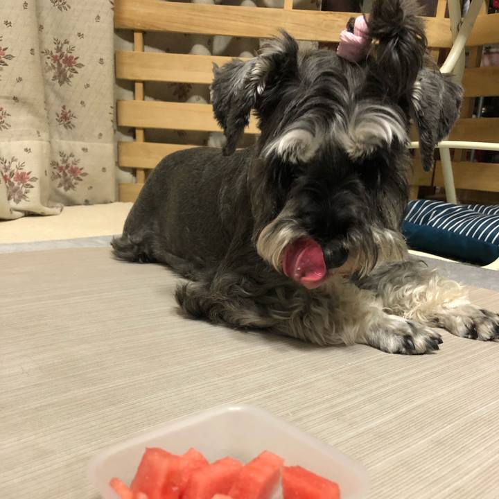 70847aa7 e7b2 4241 81bf 20d715df3a79 1626090264689