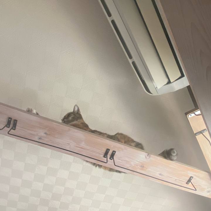 70847d39 170e 45db 8d76 c1030a786178 1755917409922