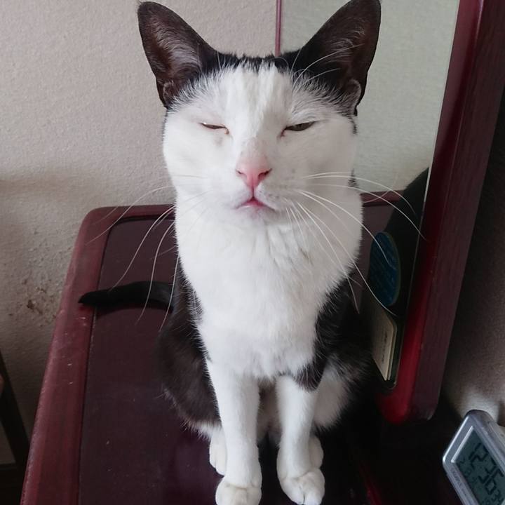 7084af4d 73a1 43cb 9057 c1ecfd1592fa 1518676007575