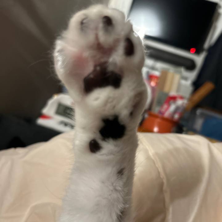 7084f09e b1cb 4ca1 adb1 395f416a9d14 1765847816074