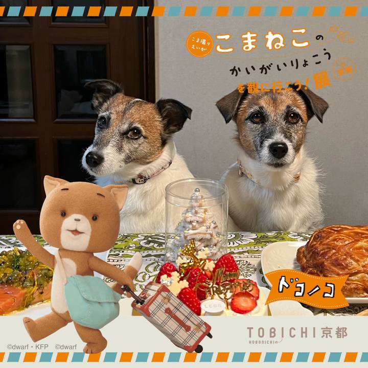 7084f15b 1f49 4e4d 87d8 e478ec66d70d 1740129183191