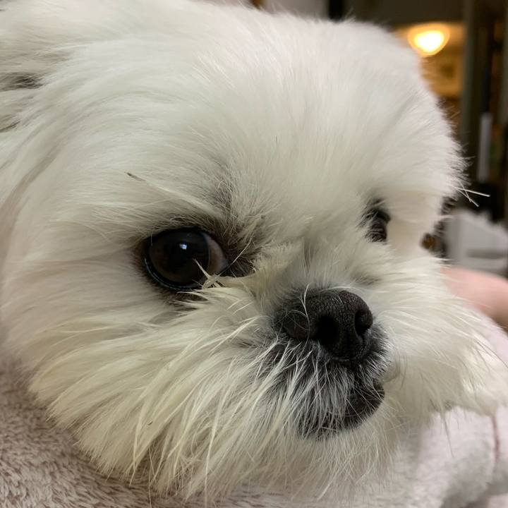 70851ca6 3e6a 434a aa71 d8ef6620322e 1647853773018