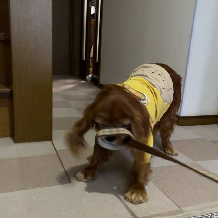 70853609 e04e 4860 9879 d1d38e7b6db3 1738503806178