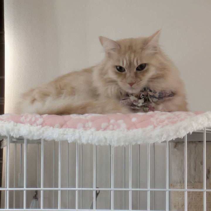 708536e7 4852 4a97 9e87 6d8b5d2a6adb 1767143335887