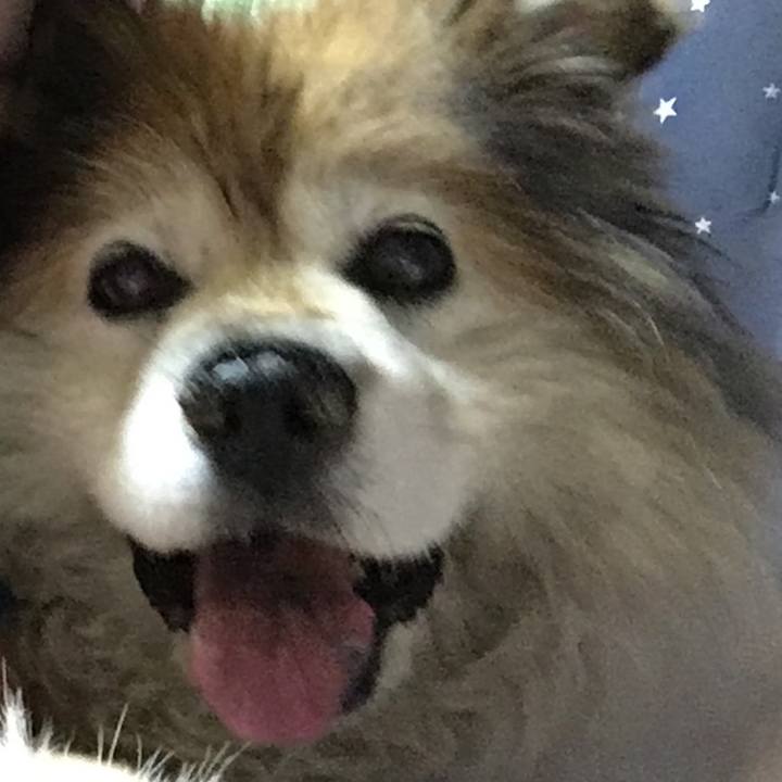 70856230 793f 476d b4dd 14f2a4baf832 1625544500053