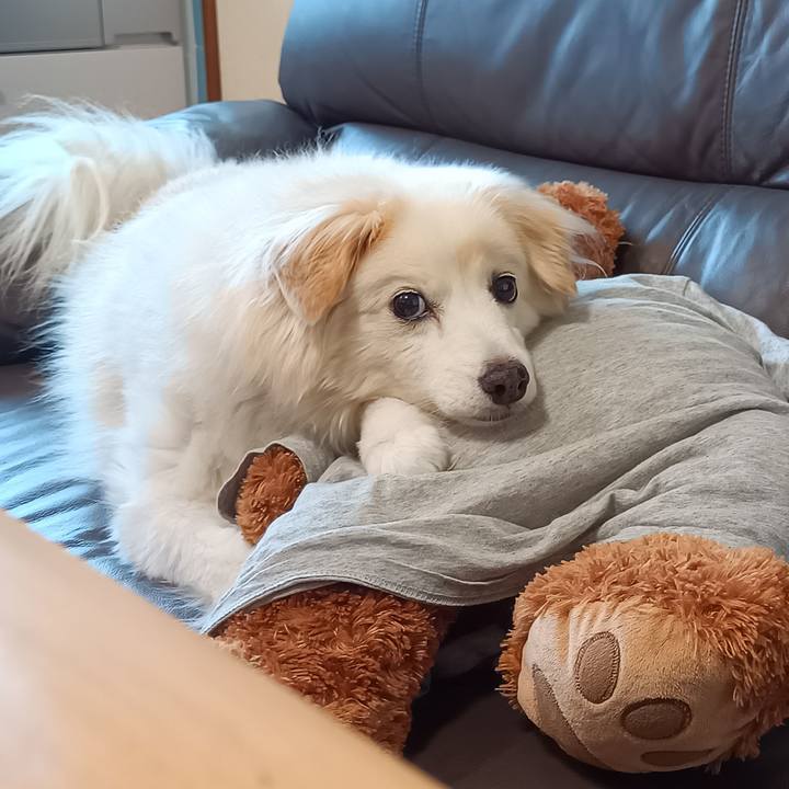 70857956 3fbf 4cac a17a 87ce4de14277 1690956193519