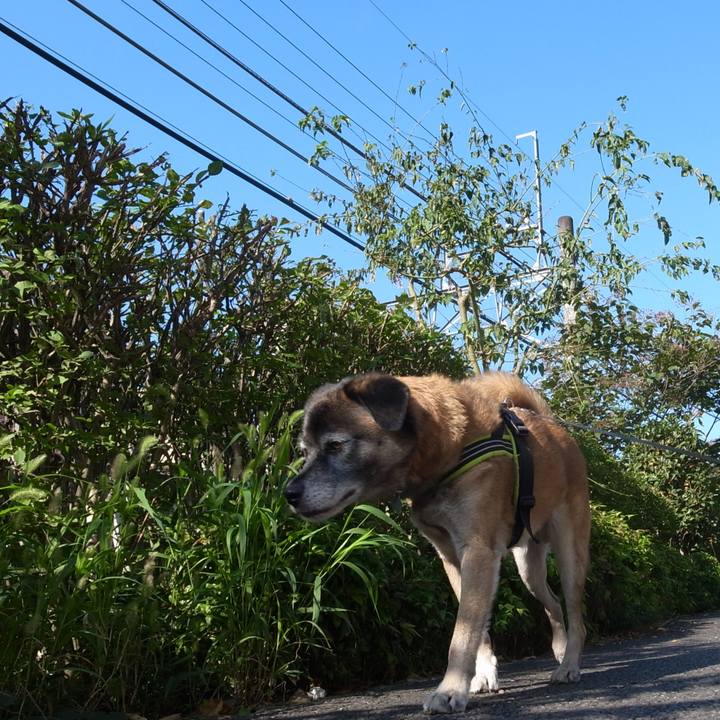 7085a730 2eb0 4617 bd39 baf0683b4f53 1590230152978