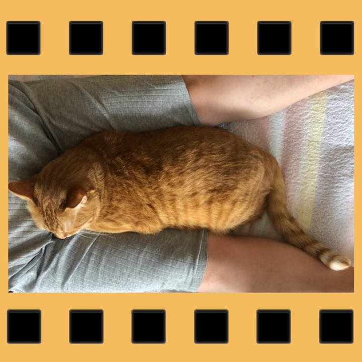 7085a96f 2000 464d 8fa6 02280306de04 1587595355954