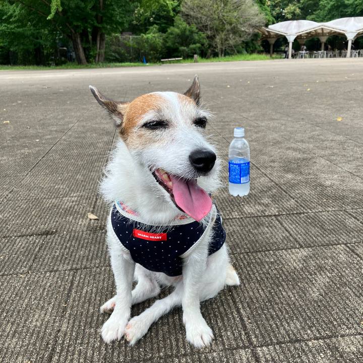 7085ffed c654 4d88 9e98 1ff42354a4a8 1688944499262