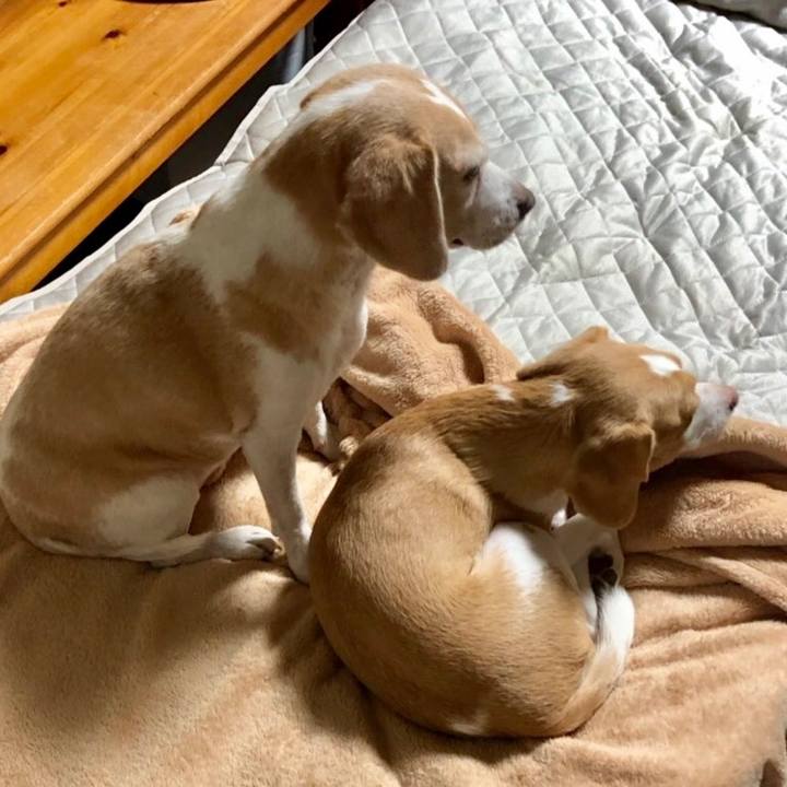 70862b22 4b8f 4f0f a0a9 23c5f9e157aa 1539210317384