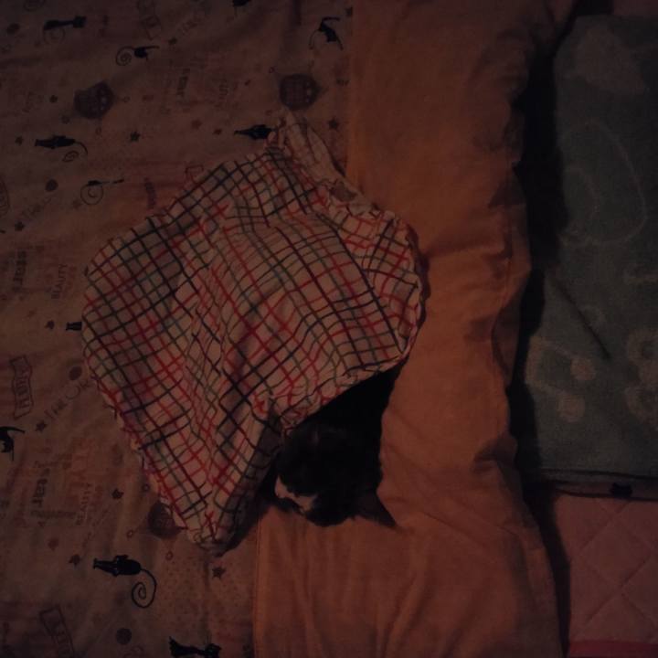 70867a66 a47a 4055 ab27 92def60f8da9 1601977193830