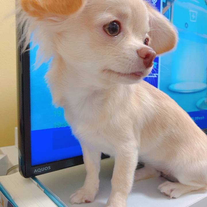 70867f0b a2df 4c15 904d aa2532fce386 1596268440713