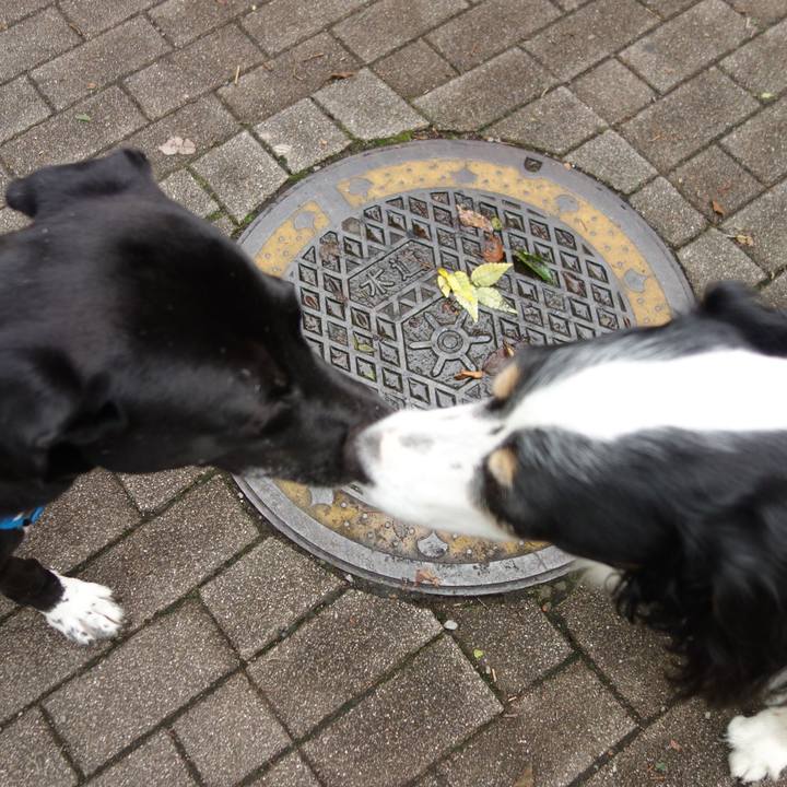 70868bde 8105 4c3a 8240 029cc17be998 1622854571517