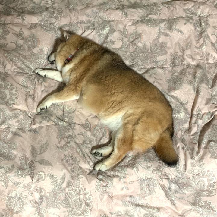 70869e59 d647 4111 bc88 3b71afe1f40d 1651100671566