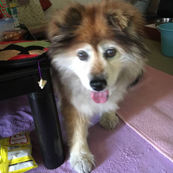 7086b5df b430 45c0 b5f7 5e6b90e7d578 1567454593903