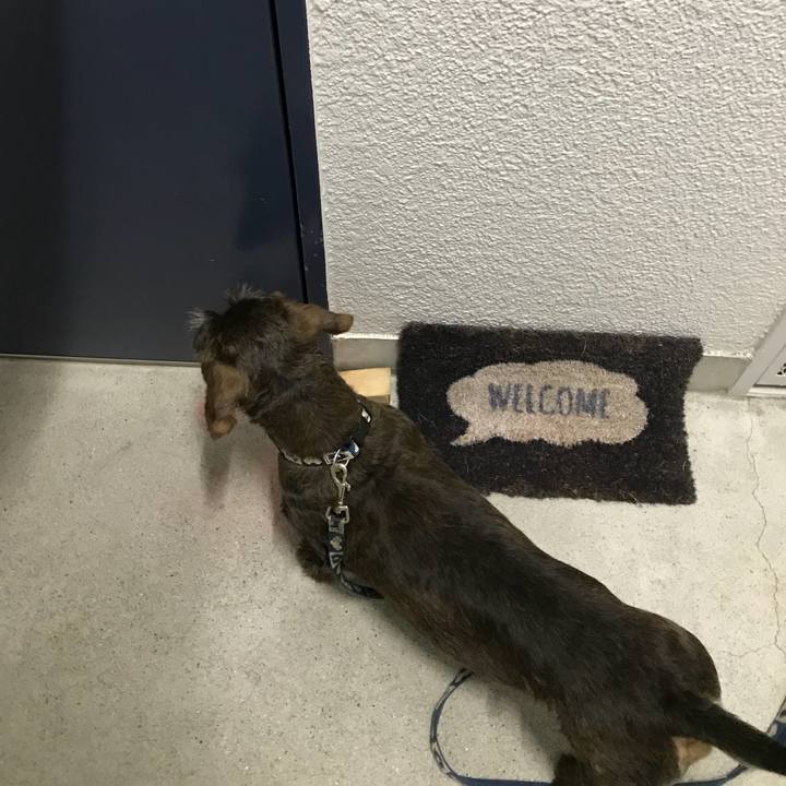 7086bc03 aa3a 42c0 9916 8b7ee1763670 1527692589893