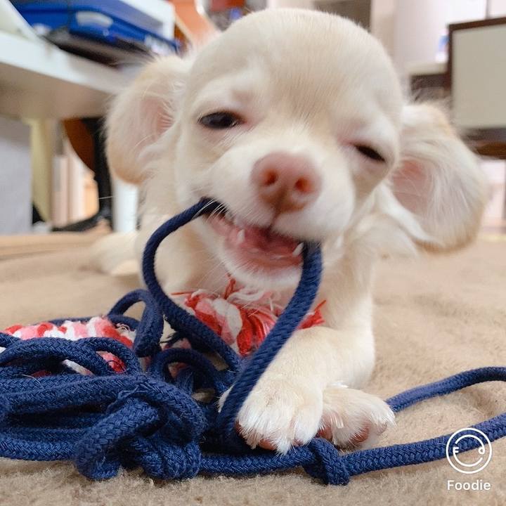 7086ca8b 0fde 4d75 9026 dfdd920c1f28 1596073246585