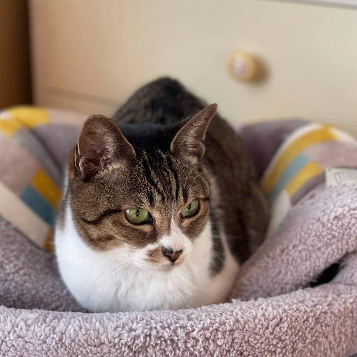 7086f547 0078 4e92 b50c 88c69d46bf49 1611193921360