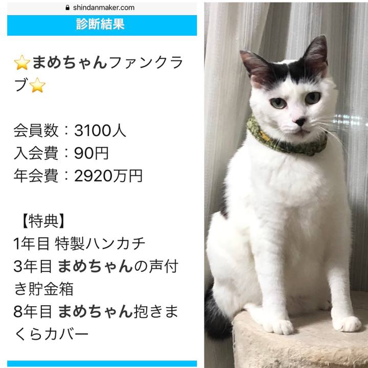 708717b6 e296 495e 81c6 fff80319125a 1568416568520