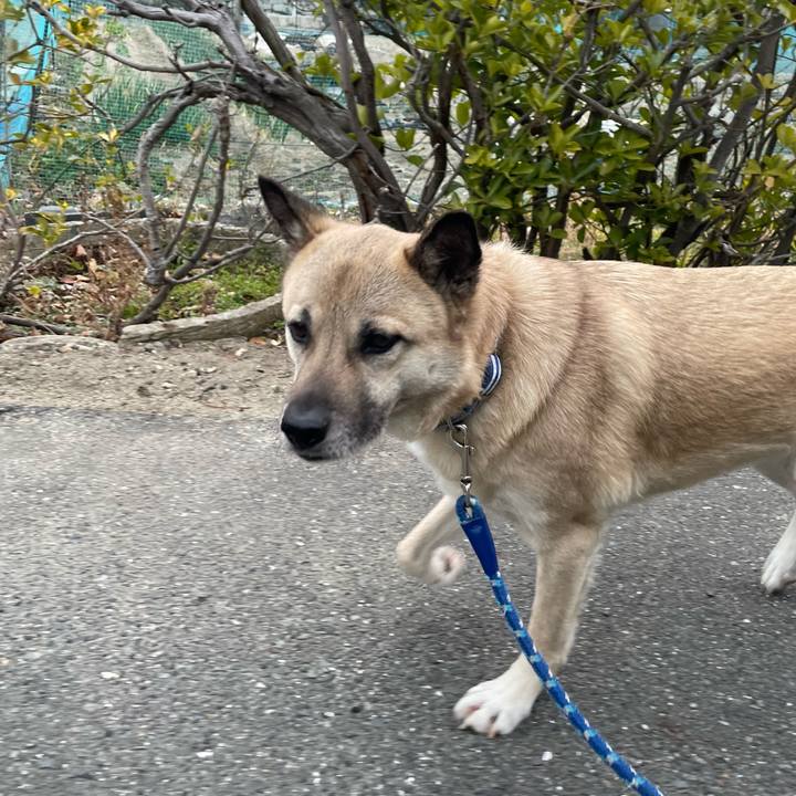 70874673 0883 4ff0 8e79 8f4115206827 1646653585641