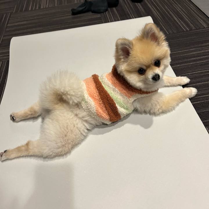 70874a46 dd8b 4095 b879 8ec687a36784 1732794010932