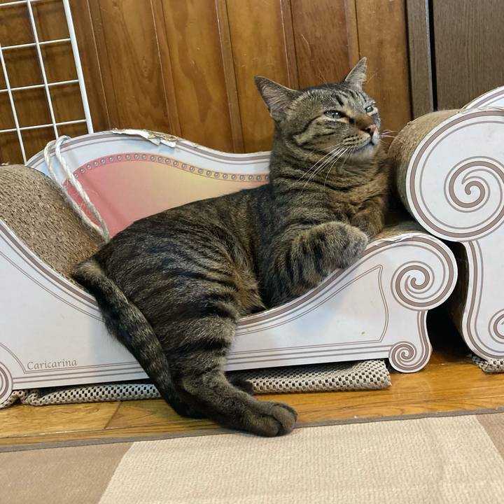 70874d5e 6cd1 4ea4 b6cb 908b391fd626 1711666884686