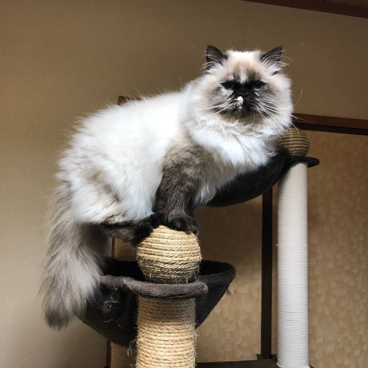 70876a8a 2792 4b97 bc73 3eec65a8133c 1639389791292