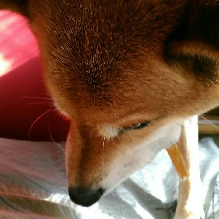 70876e0d 650f 454e 9b3c 80f5449786e3 1541389940199