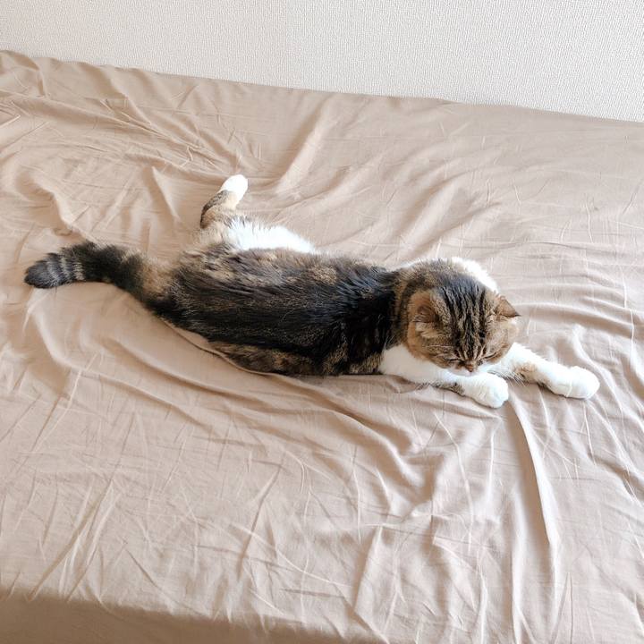 70876f45 3298 4ea4 887f f19879490b6c 1570103410585