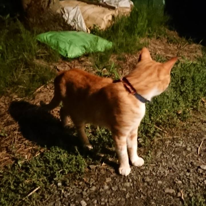 708799f4 f995 423a 95ae 7b4562859cf7 1563538413121