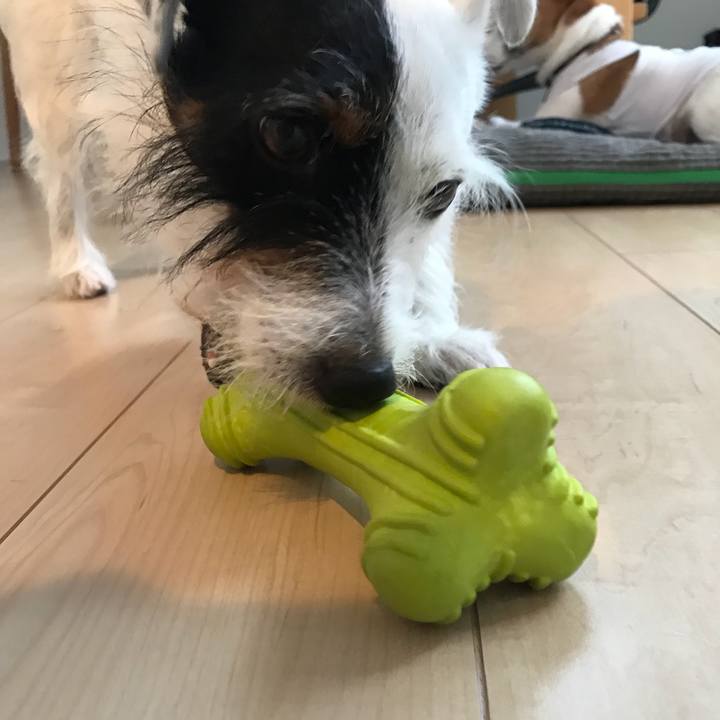 7087f3a5 5da8 440e b10d 9b8059122e4e 1533893243709