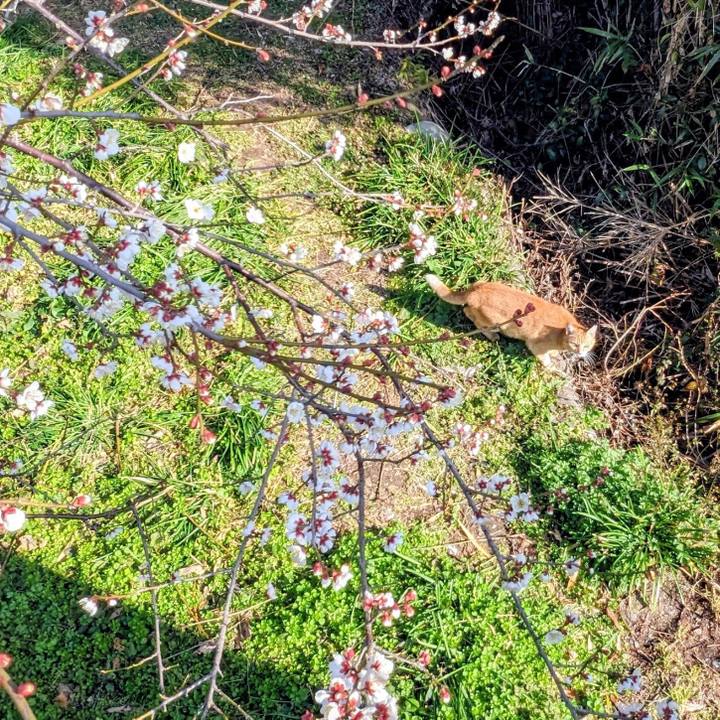 70881231 6fdb 4a04 8cd0 c63c2b5c9385 1771046917543