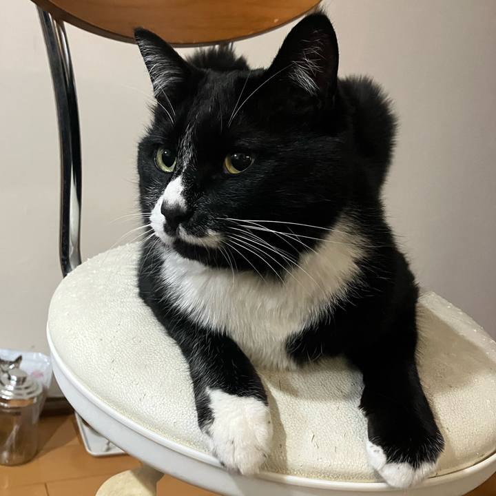 70881a56 a1ff 43dc 9c03 ce724aff692f 1715311085176