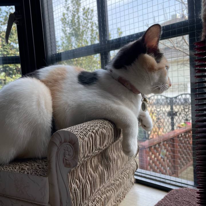 70882c0e fa98 423a 91f1 36491523732f 1675918685171