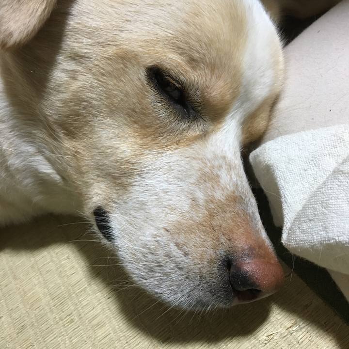 7088a461 5247 4460 bdb4 5454f2a661fe 1524749358332