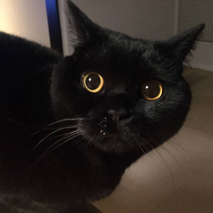 7088a60a 1251 4b59 be7c 5efb1d0cb9b6 1554378320211