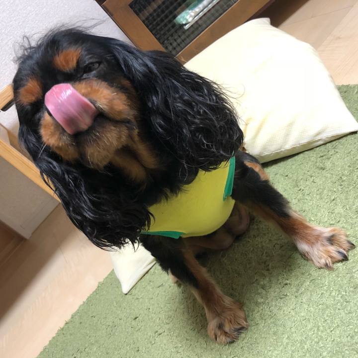 7088b991 9aa4 406a 8267 5b92cbad6f5b 1539342470405