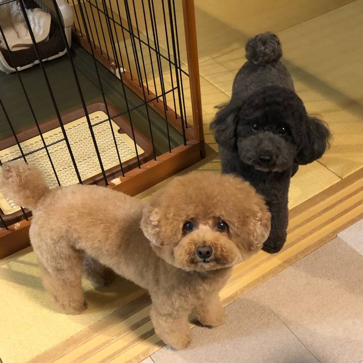 7088bda8 6e94 4a01 962d 80d02c3a35ba 1606295812894