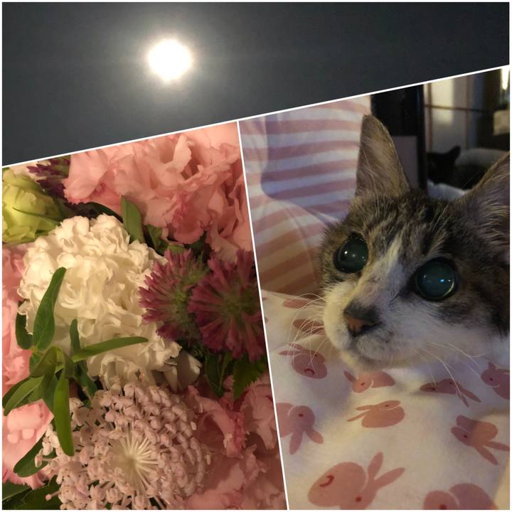 7088bfda cea0 4a5d 8300 a3436fda845f 1588860281171