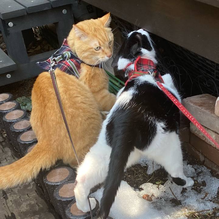 7088f6c8 0024 4a44 a589 7ac70d79d5fc 1646180172470