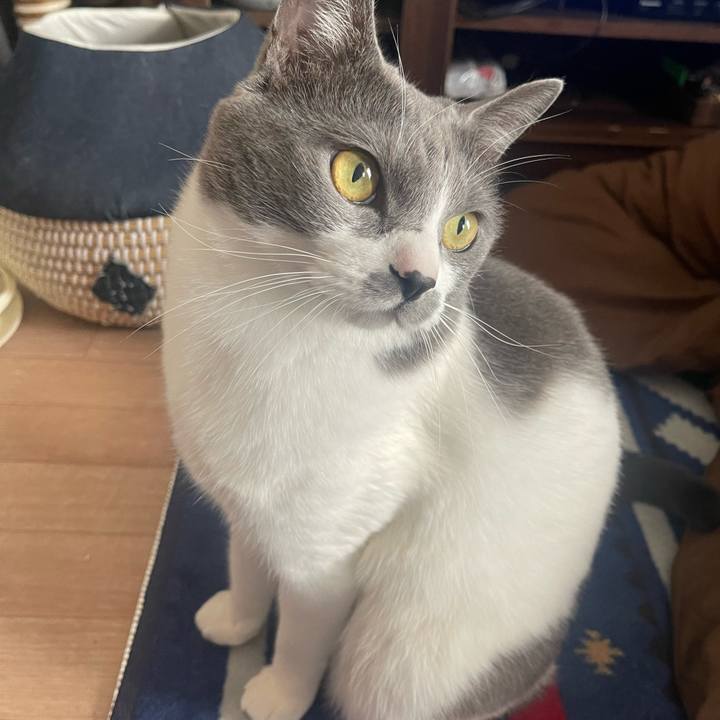 7088fdfd 41ef 4f9a b3d8 0323d2ae7599 1673753528949