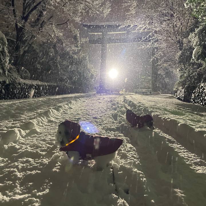 70892d14 ad12 4776 a99d 44069e6de78f 1671439276704