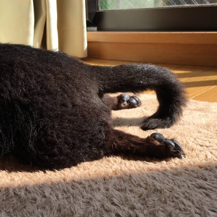 70893c1b 0305 4a4c 801d 5b138d8fb100 1687174969004