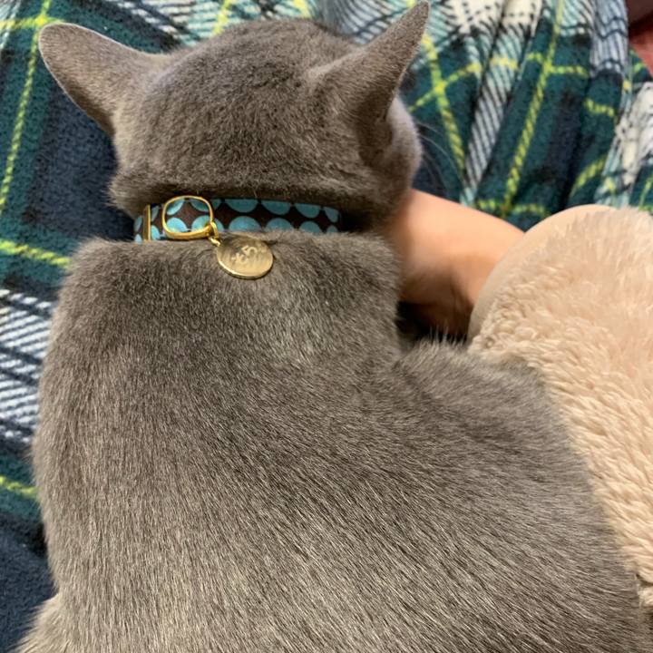 7089405e d3e9 4283 8919 a85456804573 1575759709080