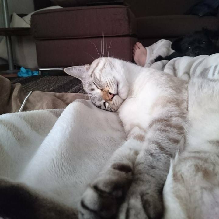 70895fcf 52d6 49aa b083 a7ead628ee36 1510718142584