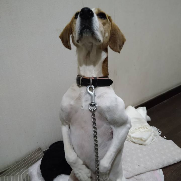 7089ca34 129d 4b6d bf82 2b7068c1b5a4 1637050321589